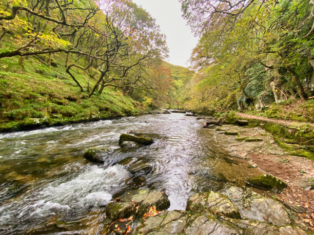 istock The East Lyn River at Lynmouth, North Devon 1354378257