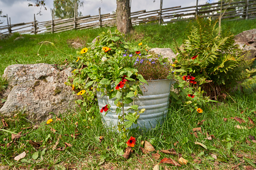 a beautiful metal flowerpot with colorful flowers on a meadow in front of a traditional swedish fence