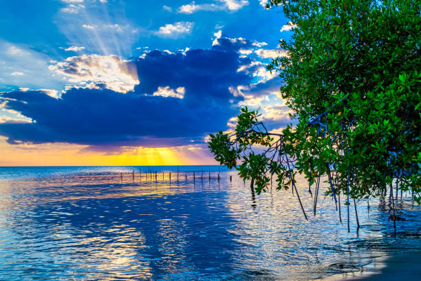 Vibrant color scene