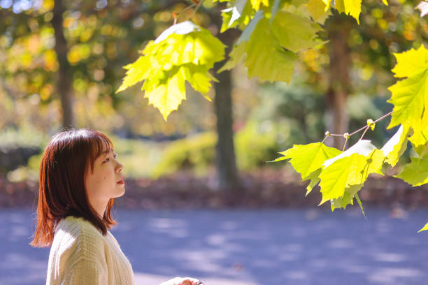 istock Young woman relaxing in autumn park 1354389467