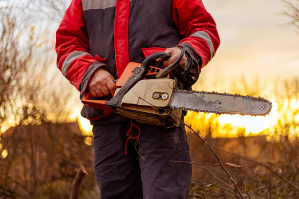 istock In the forest, unrecognizable man holding an electric hand saw 1354391412