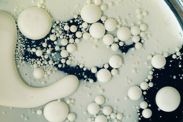 istock Abstract pattern of plant ingredients. 1354391426