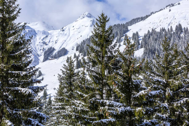 istock Snow panorama, winter Alps mountains, Austria 1354392441