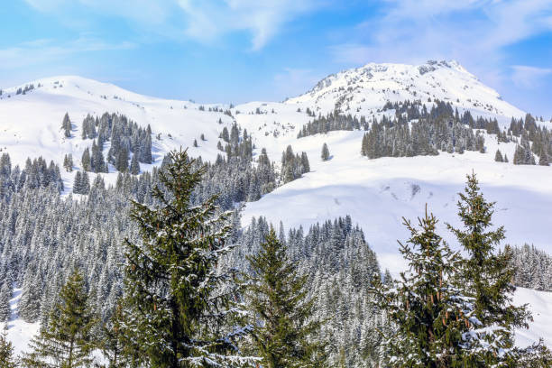 istock Snow panorama, winter Alps mountains, Austria 1354392504