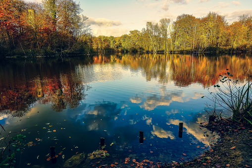 View of a lake in Germany in autumn. The lake is called \