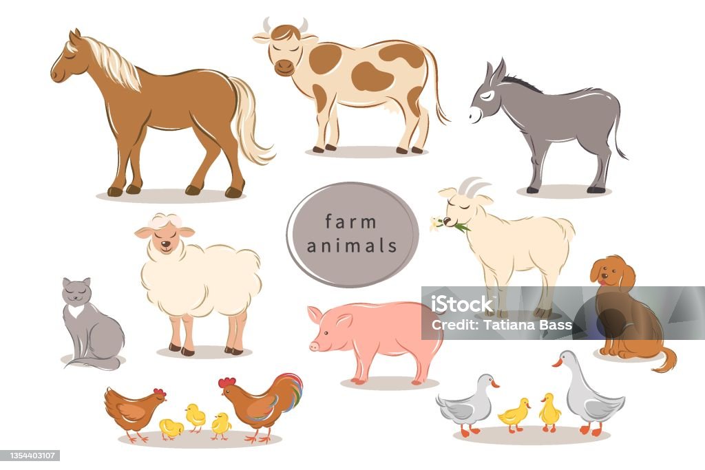 Farm Animals 02 Stock Illustration - Download Image Now - Clip Art, Cow,  Domestic Cattle - iStock
