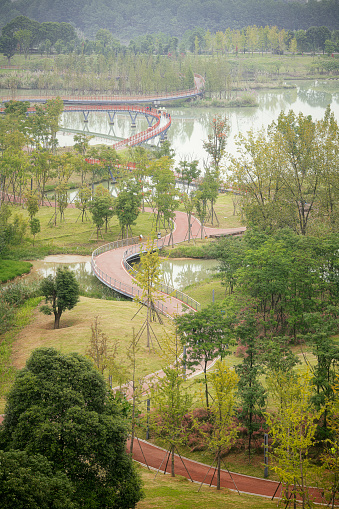 Trees and bridges photographed in Chengdu in the morning