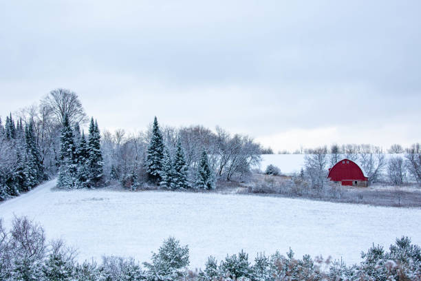 istock Old red barn in a  Wisconsin, snow covered forest 1354409019