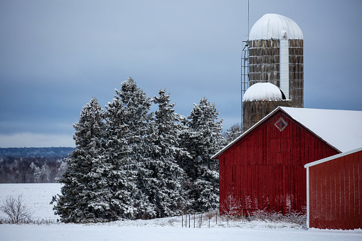 Old red barn and silos next to a  Wisconsin, snow covered forest, horizontal