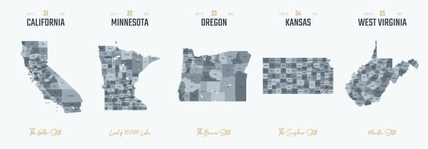 Vector set 7 of 10 Highly detailed silhouettes of US state maps, divided into counties with names and territory nicknames Vector set 7 of 10 Highly detailed silhouettes of US state maps, divided into counties with names and territory nicknames minnesota illustrations stock illustrations