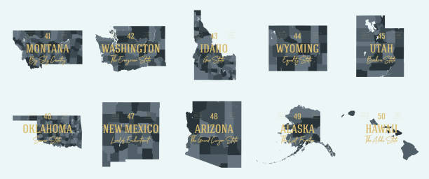 ilustrações de stock, clip art, desenhos animados e ícones de set 5 of 5 division united states into counties, political and geographic subdivisions of a states, highly detailed vector maps with names and territory nicknames - arizona map outline silhouette