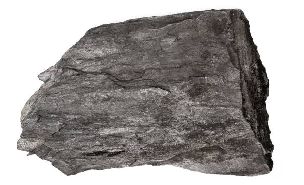 석회암과 셰일의 돌은 흰색 배경에 고립되어 있습니다. 플랫 스톤 셰일 클로즈업 상단 보기. - fruit stone 뉴스 사진 이미지