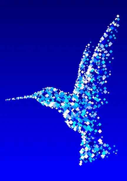 Vector illustration of Fragments hummingbird