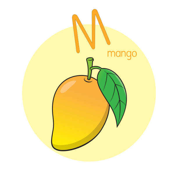vektorillustration von mango mit alphabetbuchstabe m groß- oder großbuchstabe für kinder lernpraxis abc - letter m alphabet food fruit stock-grafiken, -clipart, -cartoons und -symbole