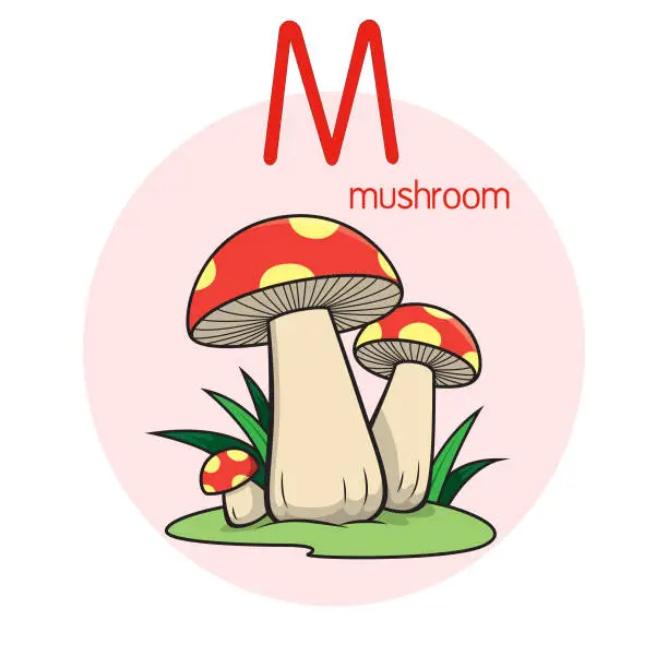 Vector illustration of Vector illustration of Mushroom with alphabet letter M Upper case or capital letter for children learning practice ABC