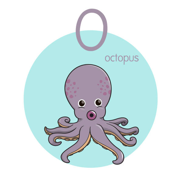 illustrations, cliparts, dessins animés et icônes de illustration vectorielle d’octopus avec la lettre alphabétique o majuscule ou majuscule pour la pratique d’apprentissage des enfants abc - alphabet letter o white background nobody