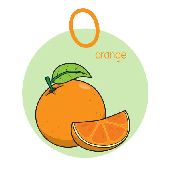 Vector illustration of Vector illustration of Orange with alphabet letter O Upper case or capital letter for children learning practice ABC