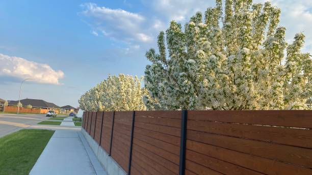 istock Cedar fence with concrete foundation 1354425243