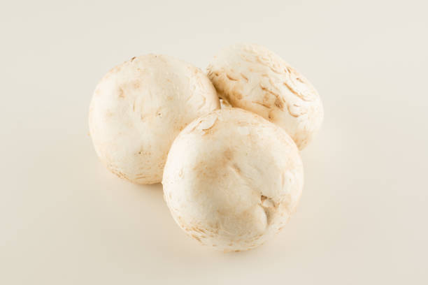 istock premium champignon mushrooms isolated 1354428192