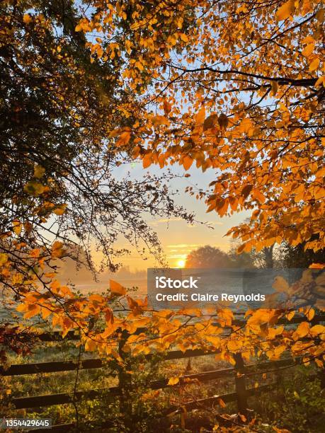 Autumnal Sunrise Stock Photo - Download Image Now - Autumn, Cambridgeshire, Rural Scene