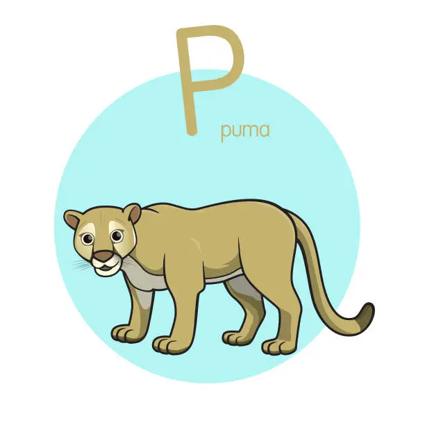 Vector illustration of Vector illustration of Puma with alphabet letter P Upper case or capital letter for children learning practice ABC