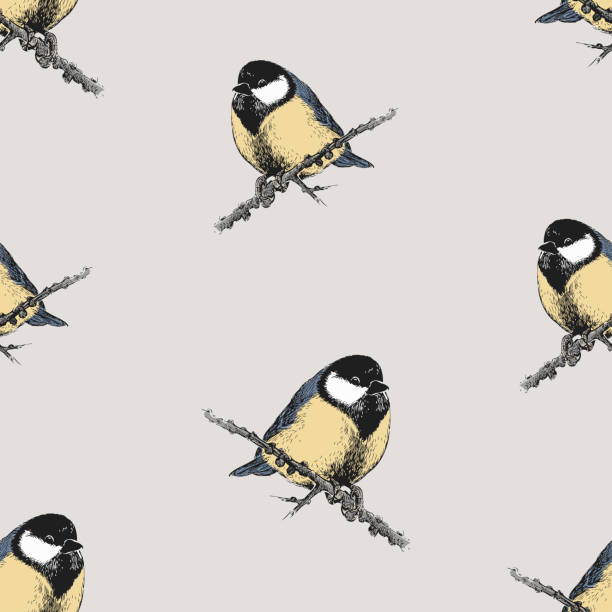 ilustrações de stock, clip art, desenhos animados e ícones de seamless pattern of drawn fluffy titmouse birds - tit