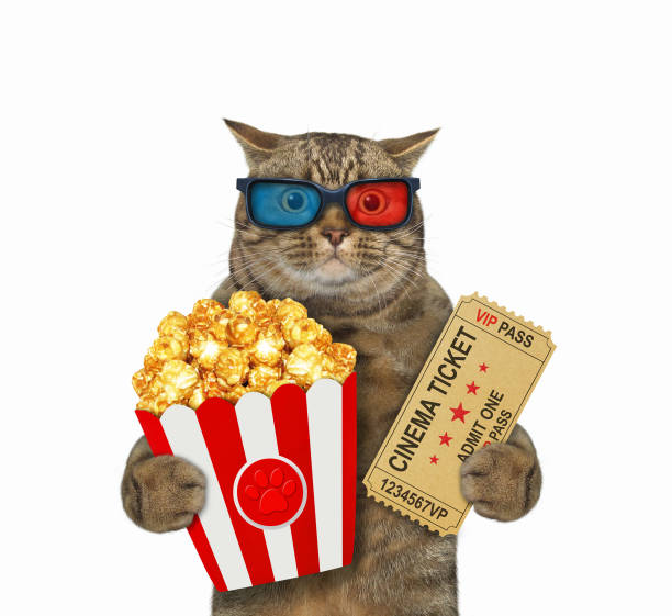 istock Cat holds cinema ticket and popcorn 1354430287