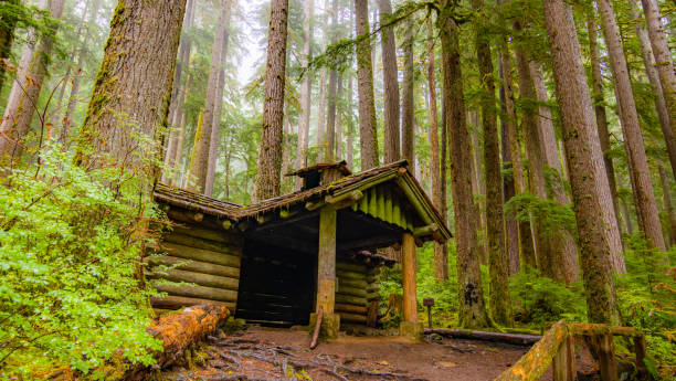 istock Fairy forest with wood house. 1354432029