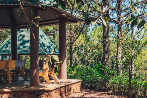 istock Nature coniferous mix deciduous forest park open view background. Gazebo gable green roof canopy, stone benches. Rain protect. Summer sun day trees shadow sky. Travel peace lifestyle leisure backyard 1354432588
