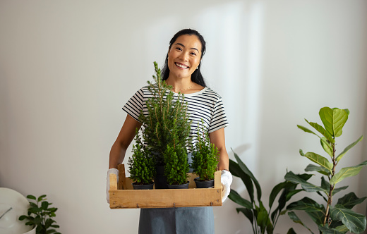 Beautiful smiling Asian woman florist moving new plants from a wooden crate at her plant shop and looking at camera.