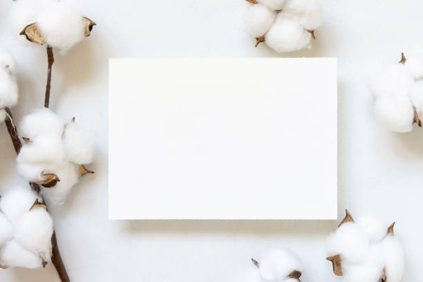 istock Blank card on white table with cotton flowers top view 1354434628
