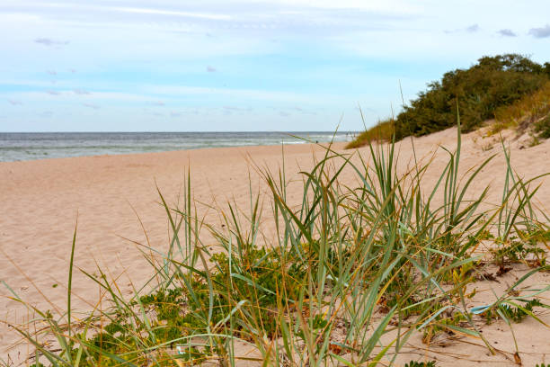 Beach on the Baltic Sea stock photo