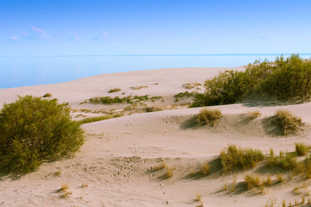 Dunes and the beach of Curonian Spit National Park stock photo