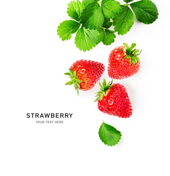 istock Strawberry fruits and leaves creative composition 1354437079