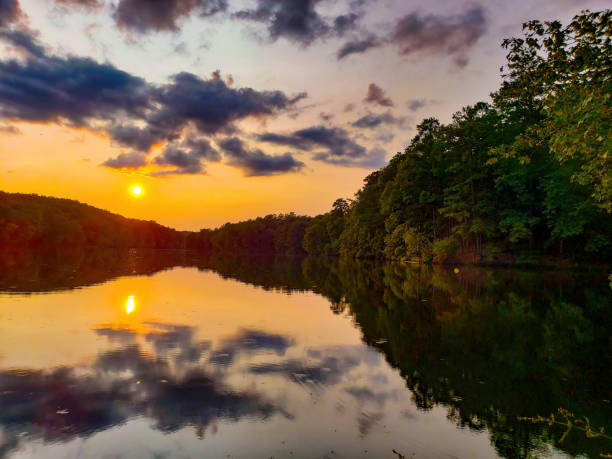 istock Late morning sun rising above still tree lined lake with reflection 1354437794