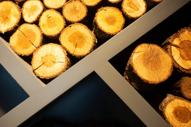 istock Pile of pine firewoods 1354437990