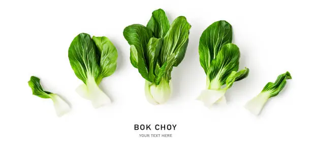 Fresh bok choy bulb and leaves collection isolated on white background. Healthy eating and dieting food concept. Tropical vegetables. Design element, top view, flat lay