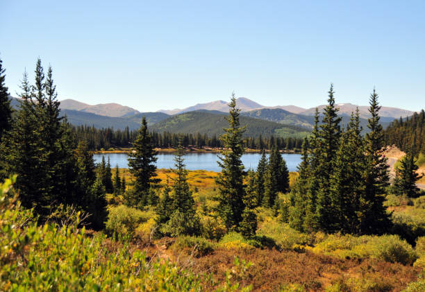 Echo Lake Park and pine trees in the Arapaho National Forest, Mt Evans, Colorado, USA Echo Lake Park, Clear Creek County, Colorado, USA: park located along the Mount Evans Scenic Byway Denver in the Arapaho National Forest. The park is part of the Denver Mountain Parks system. Mount Evans, near Denver, is the highest and most famous mountain in the Front Range, a mountain range of the Rocky Mountains, at 4,350 meters (14,264 feet) in height, it is one of the 54 so-called 'Fourteeners' in Colorado, i.e. the peaks over 14,000 feet in height. rocky mountains north america stock pictures, royalty-free photos & images