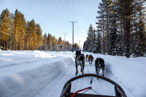 istock The toboggan run in deep snow 1354445020