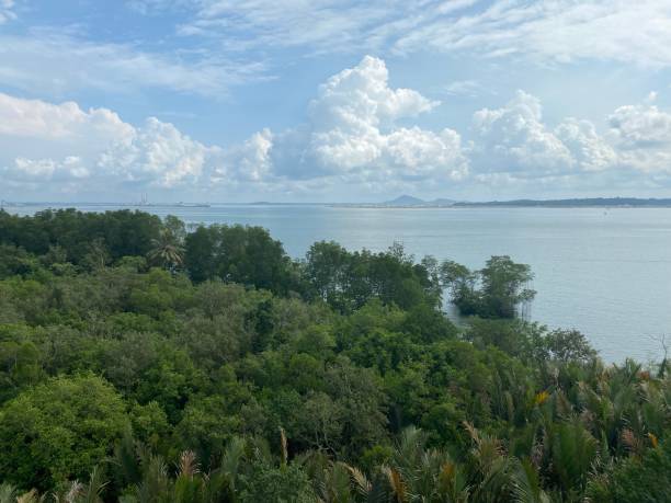 istock Tropical island by sea 1354445064