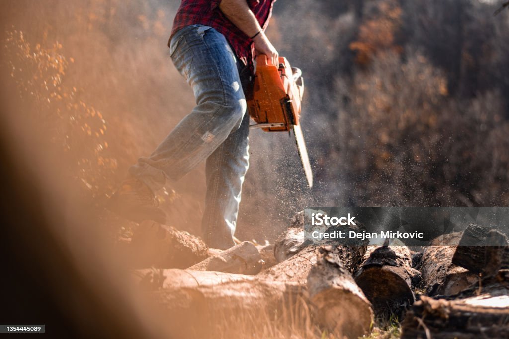 Pine cutting Stock photography of a mid age man cutting pines for winter heating season Lumberjack Stock Photo