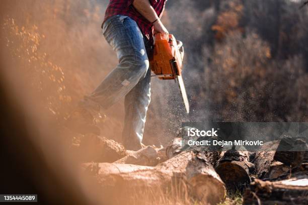 Pine Cutting Stock Photo - Download Image Now - Lumberjack, 30-39 Years, Adult