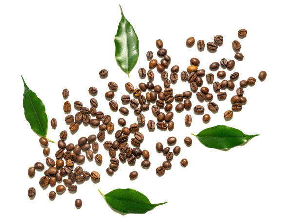 istock Handful of roasted coffee beans on white background 1354446912