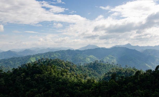 istock Mountain view taken from the national park 1354448734