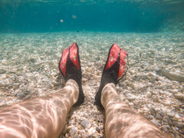 istock man legs in flippers underwater 1354451491