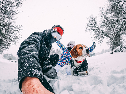Happy couple with their beagle dog, taking a selfie during a snowstorm, equipped with winter clothes, closeup, vacation concept