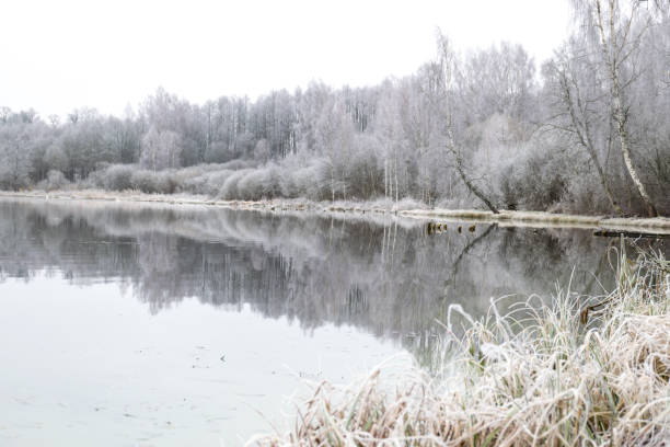 istock Beautiful, peaceful misty lake landscape 1354453912