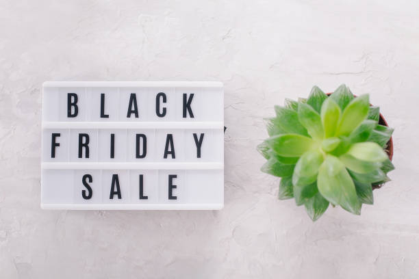 istock Black friday sale word written on lightbox, plant succulent on light background. Flat lay 1354455849