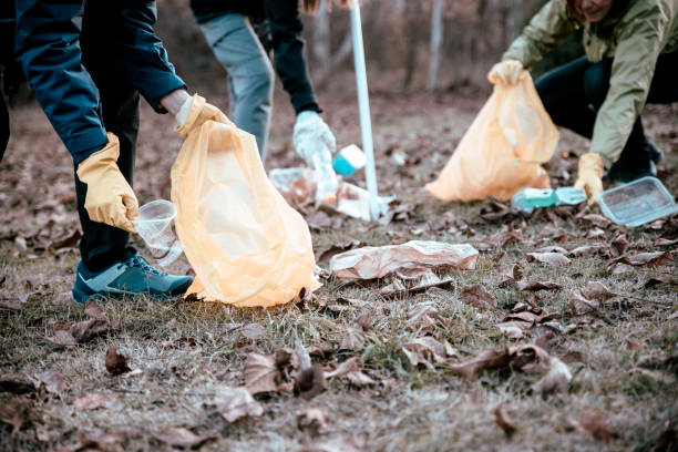 istock Ecology activist collecting trash in nature 1354458148