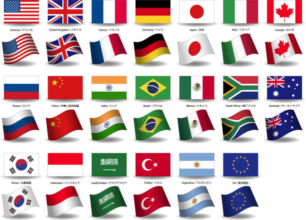 stockillustraties, clipart, cartoons en iconen met g20 flag image material set - nationale vlag